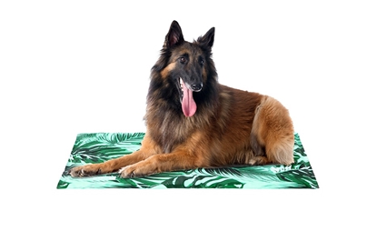 Picture of Freedog Cooling Bed Sabana - 100% recycled
